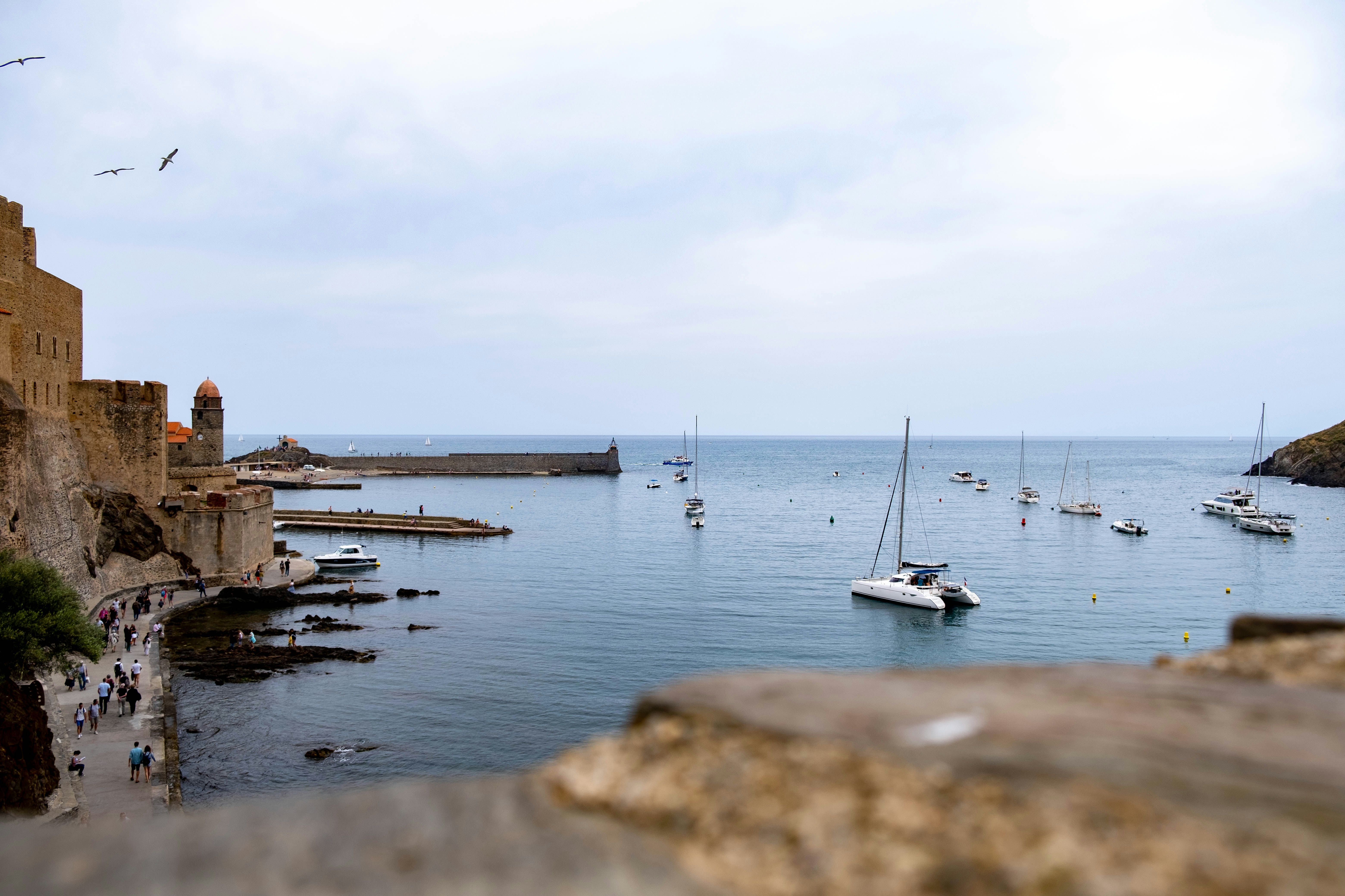 boats in a body of water during daytime